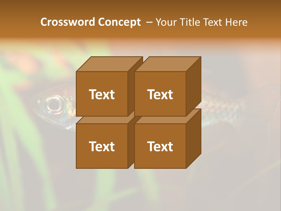 Doctor Bubbles Carp PowerPoint Template