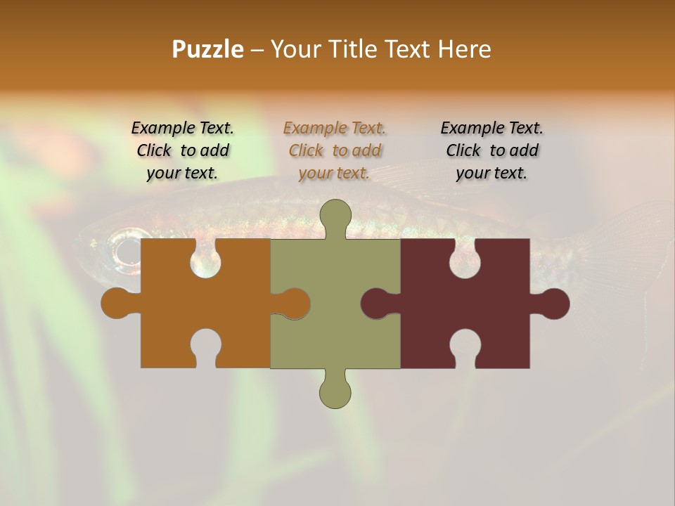 Doctor Bubbles Carp PowerPoint Template