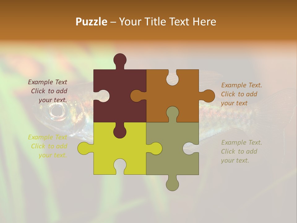 Doctor Bubbles Carp PowerPoint Template