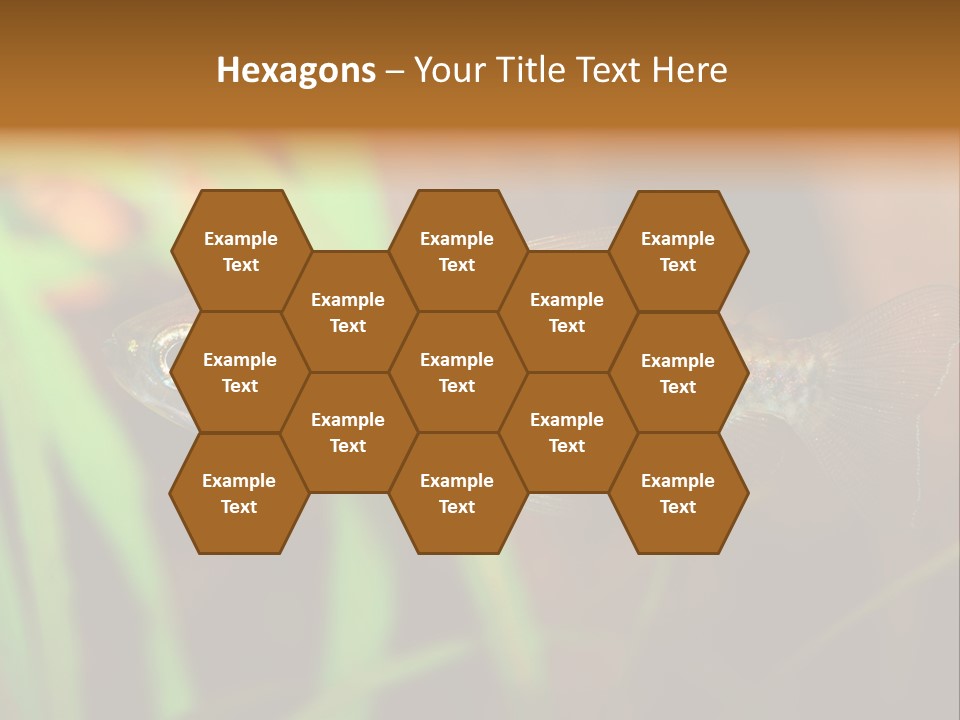 Doctor Bubbles Carp PowerPoint Template