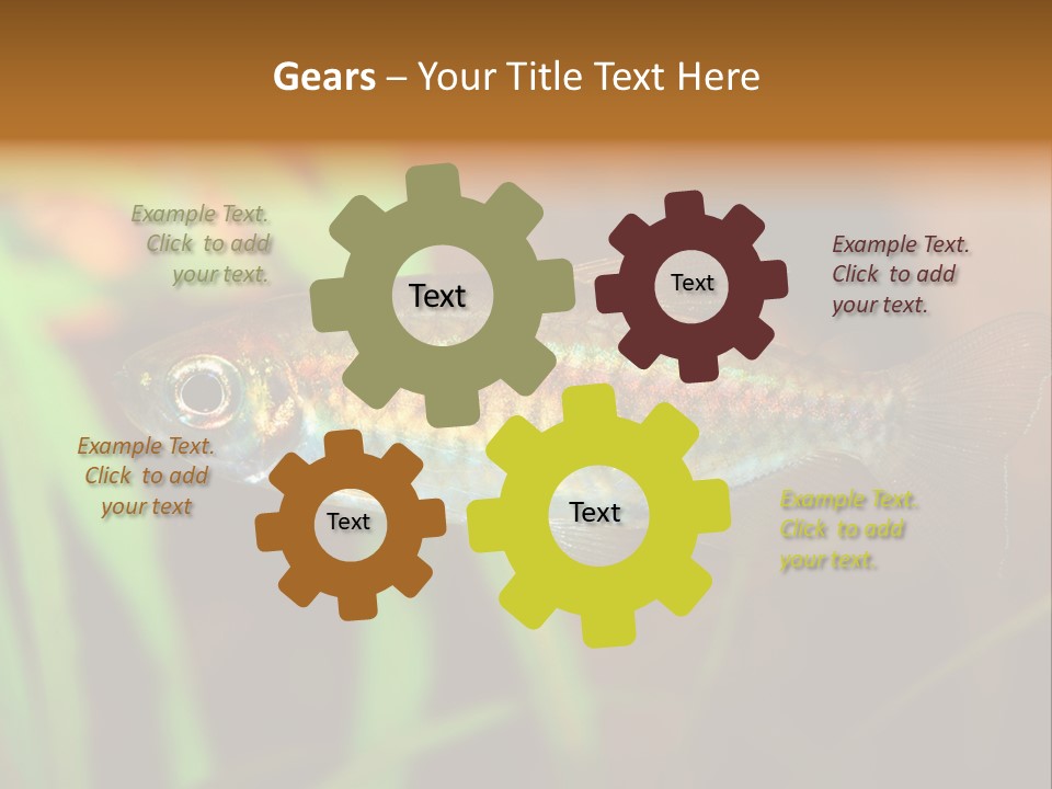 Doctor Bubbles Carp PowerPoint Template