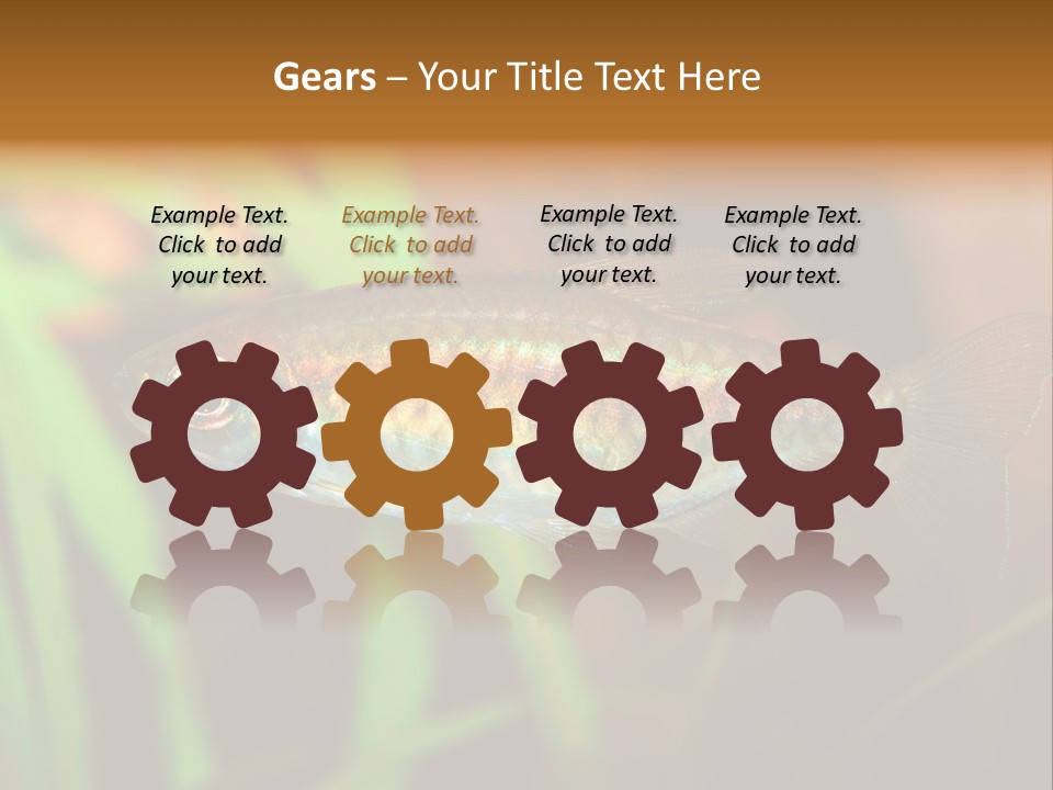 Doctor Bubbles Carp PowerPoint Template