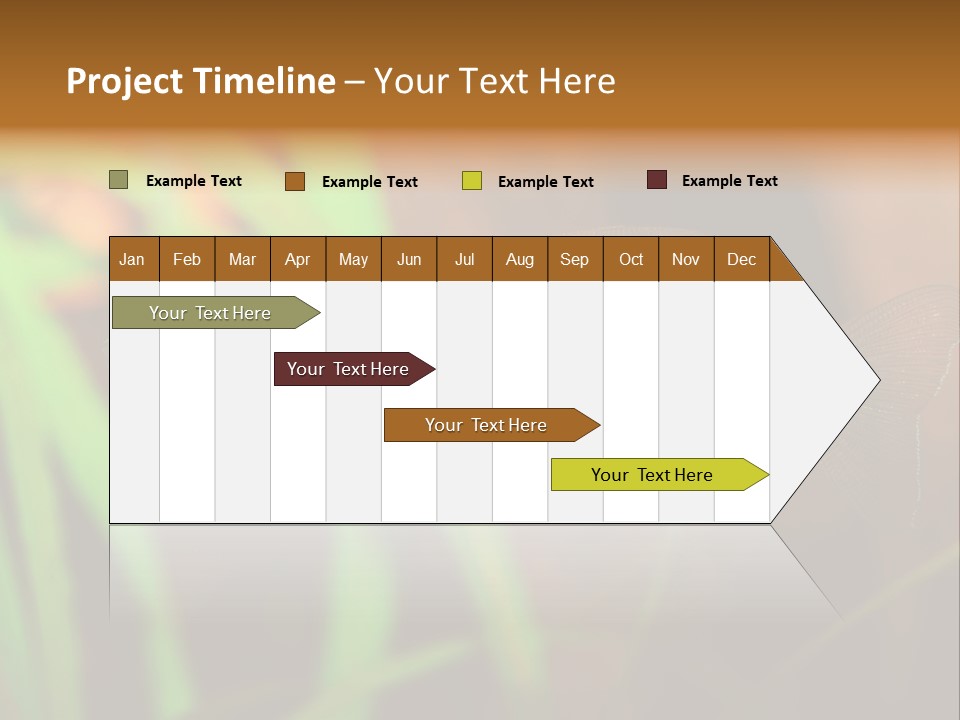 Doctor Bubbles Carp PowerPoint Template