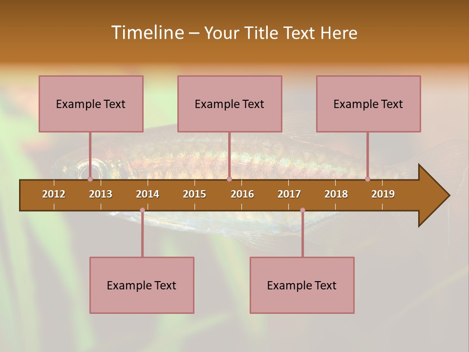 Doctor Bubbles Carp PowerPoint Template
