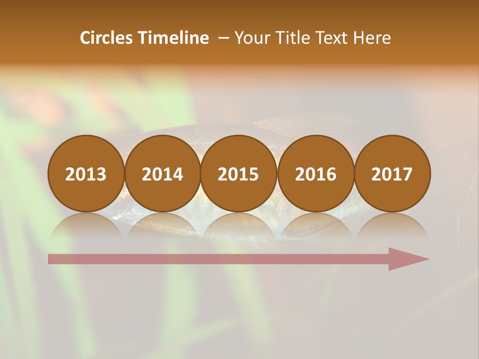 Doctor Bubbles Carp PowerPoint Template