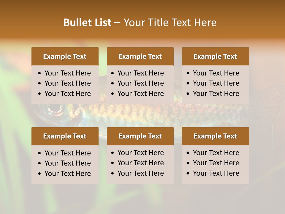 Doctor Bubbles Carp PowerPoint Template