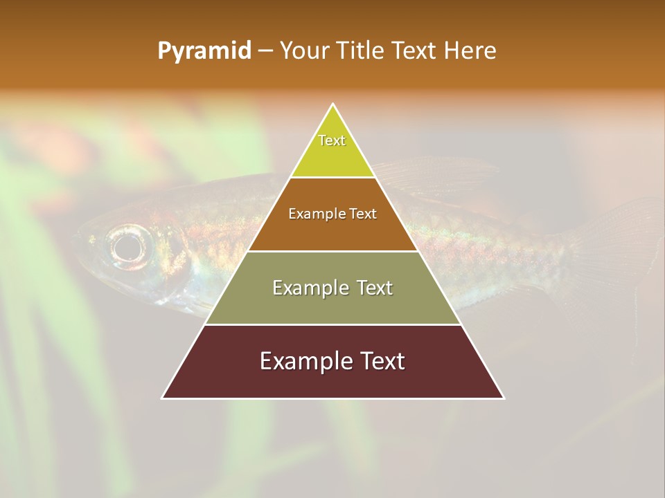 Doctor Bubbles Carp PowerPoint Template