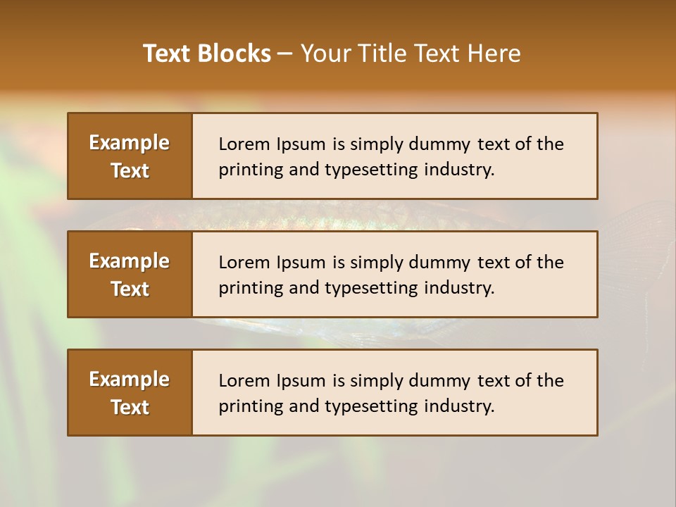 Doctor Bubbles Carp PowerPoint Template