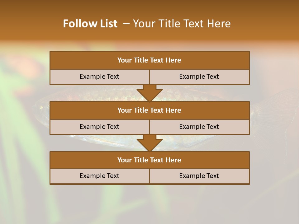 Doctor Bubbles Carp PowerPoint Template