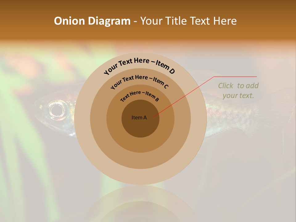 Doctor Bubbles Carp PowerPoint Template