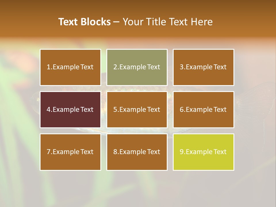 Doctor Bubbles Carp PowerPoint Template