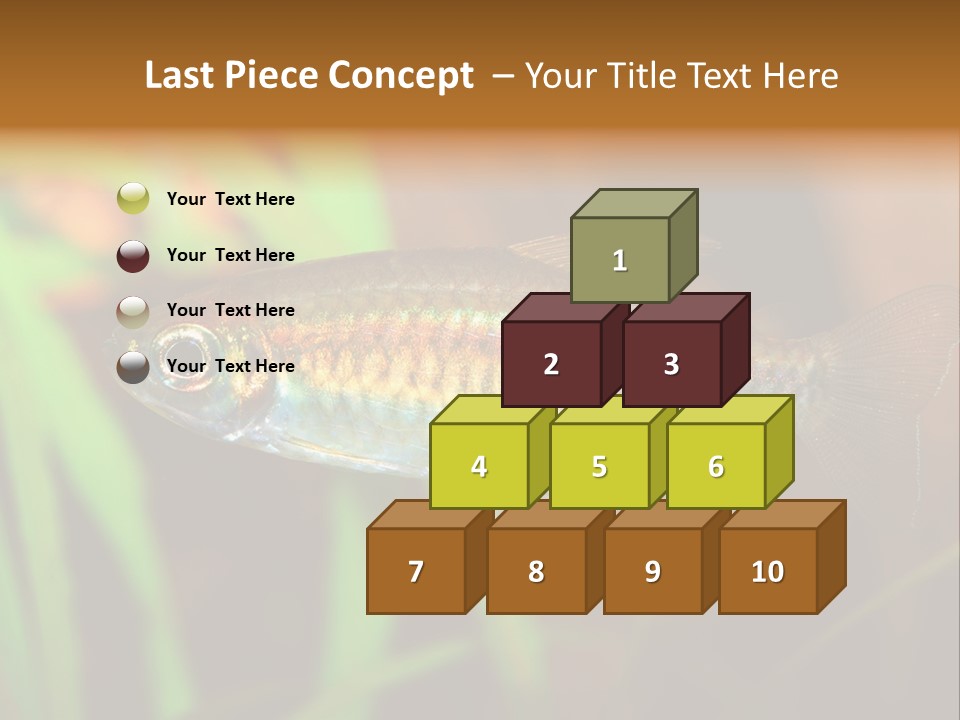 Doctor Bubbles Carp PowerPoint Template