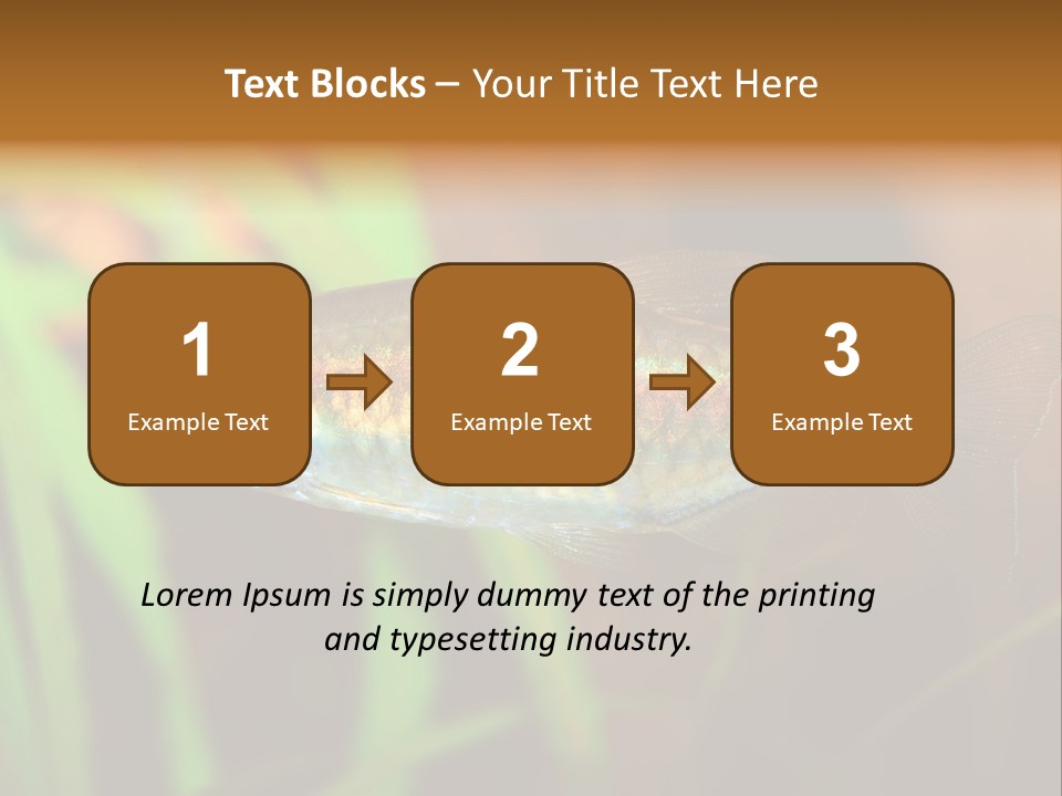 Doctor Bubbles Carp PowerPoint Template