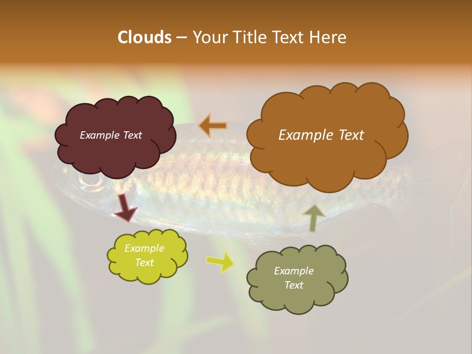 Doctor Bubbles Carp PowerPoint Template