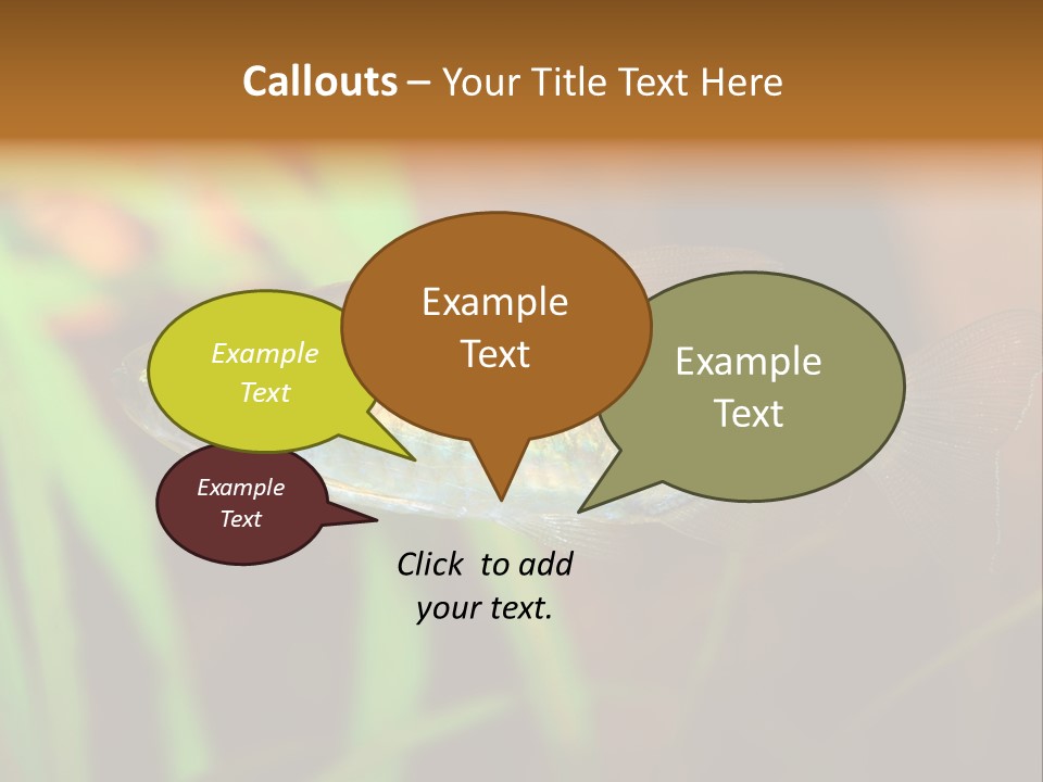 Doctor Bubbles Carp PowerPoint Template