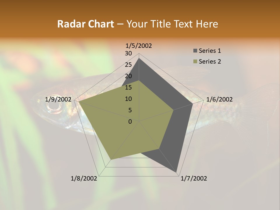 Doctor Bubbles Carp PowerPoint Template