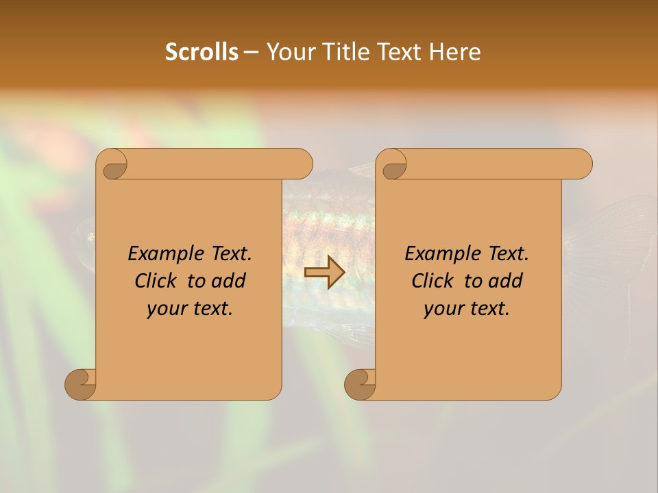Doctor Bubbles Carp PowerPoint Template