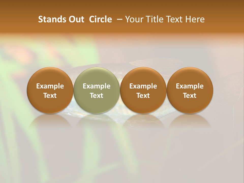 Doctor Bubbles Carp PowerPoint Template