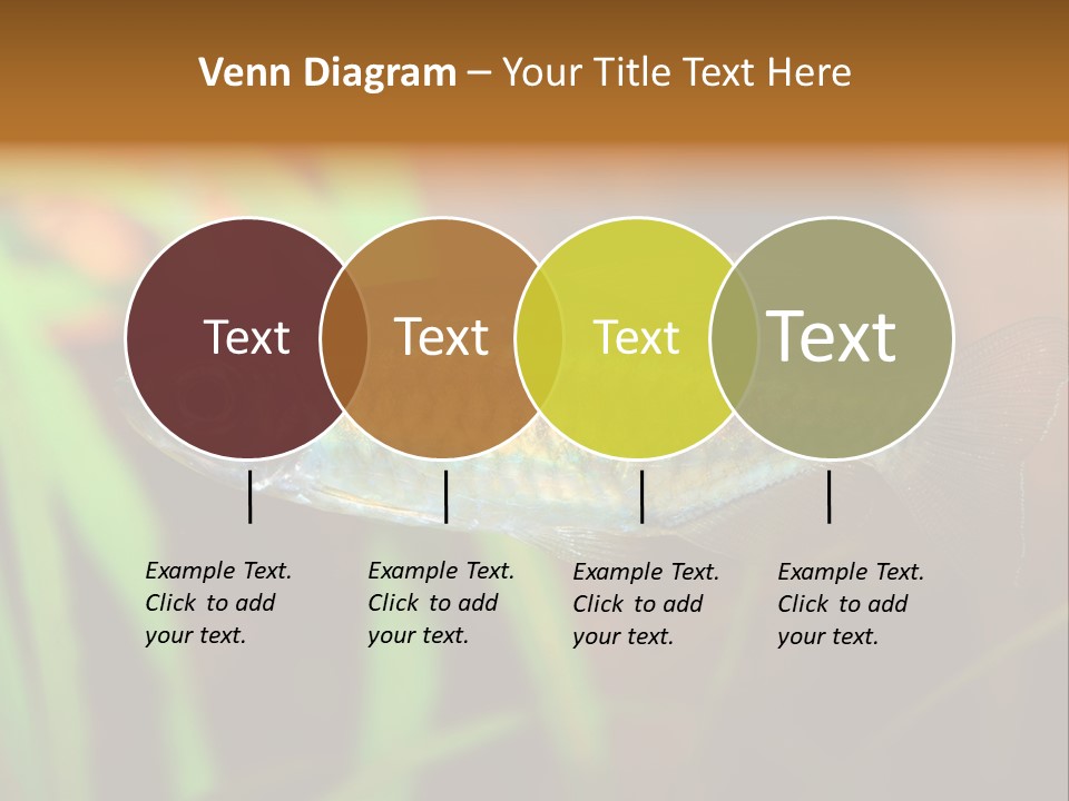 Doctor Bubbles Carp PowerPoint Template