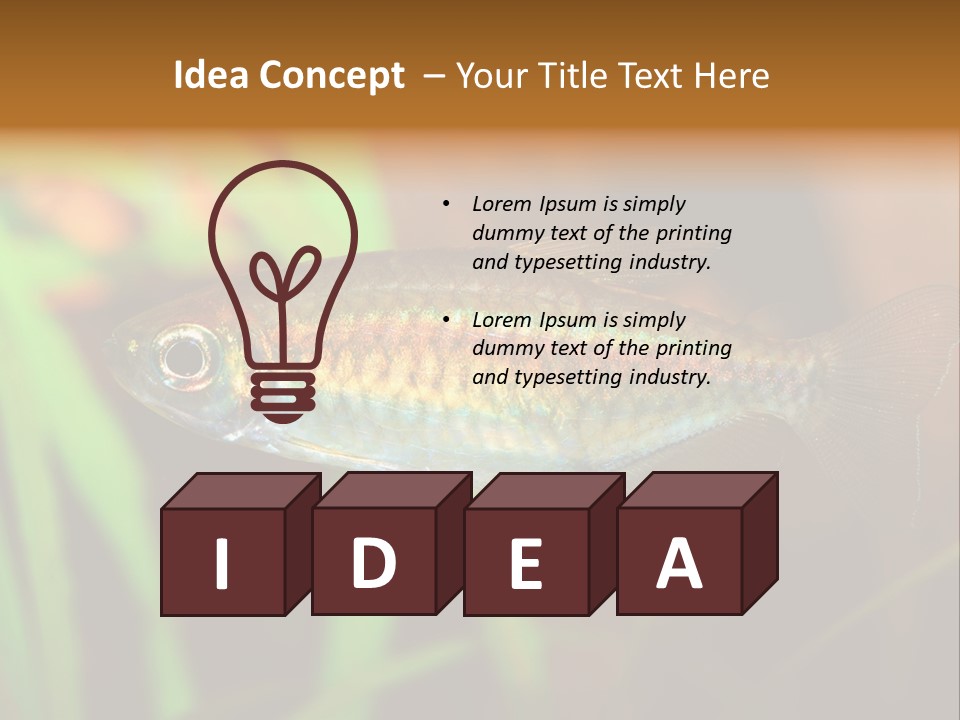 Doctor Bubbles Carp PowerPoint Template