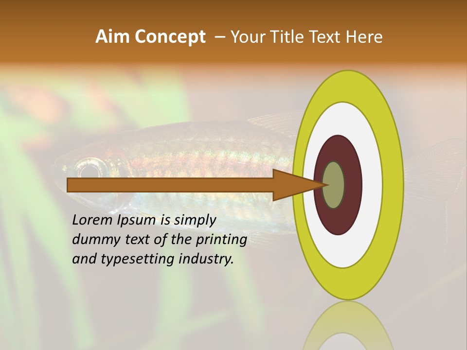 Doctor Bubbles Carp PowerPoint Template