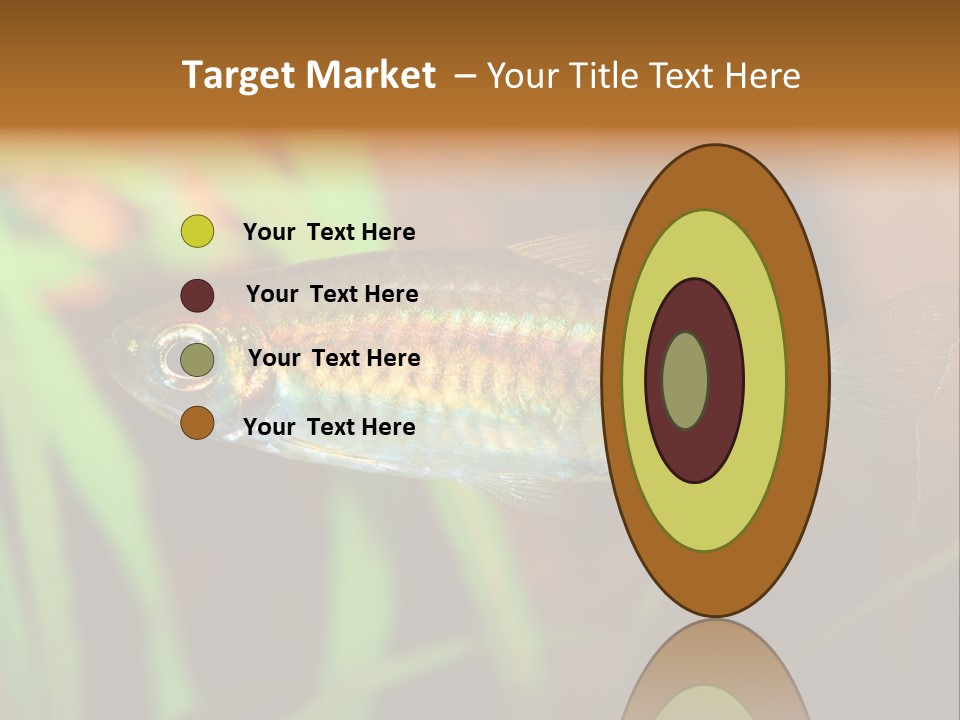 Doctor Bubbles Carp PowerPoint Template