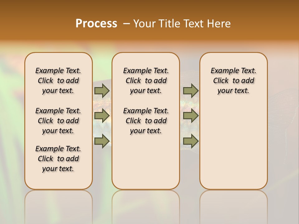 Doctor Bubbles Carp PowerPoint Template
