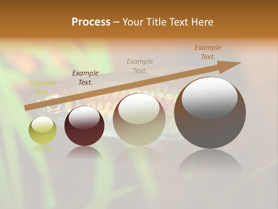 Doctor Bubbles Carp PowerPoint Template