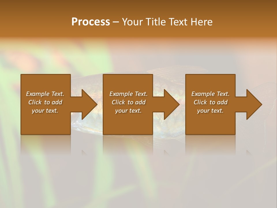 Doctor Bubbles Carp PowerPoint Template