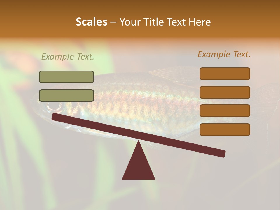 Doctor Bubbles Carp PowerPoint Template