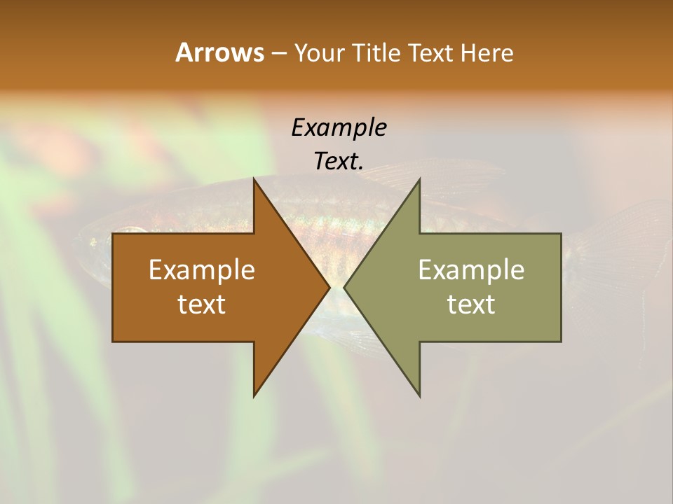 Doctor Bubbles Carp PowerPoint Template