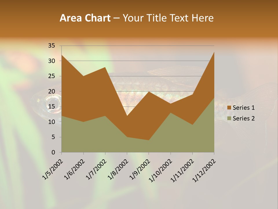 Doctor Bubbles Carp PowerPoint Template