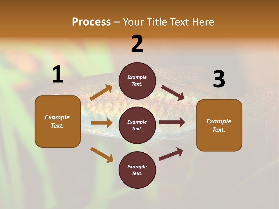 Doctor Bubbles Carp PowerPoint Template