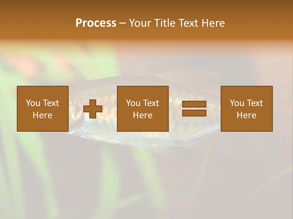 Doctor Bubbles Carp PowerPoint Template