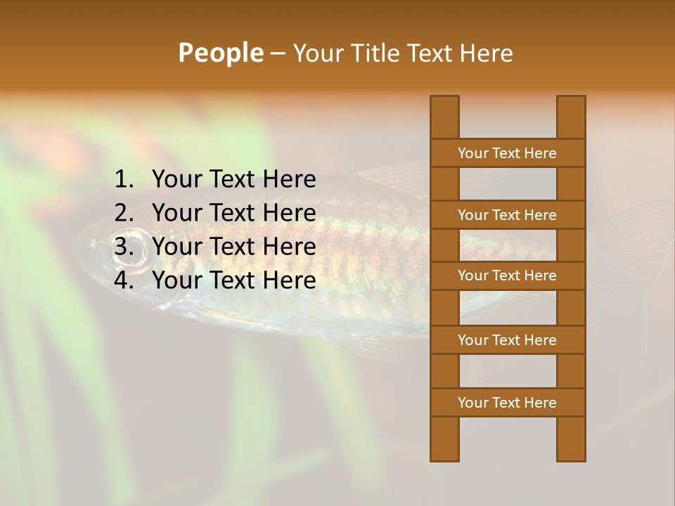 Doctor Bubbles Carp PowerPoint Template