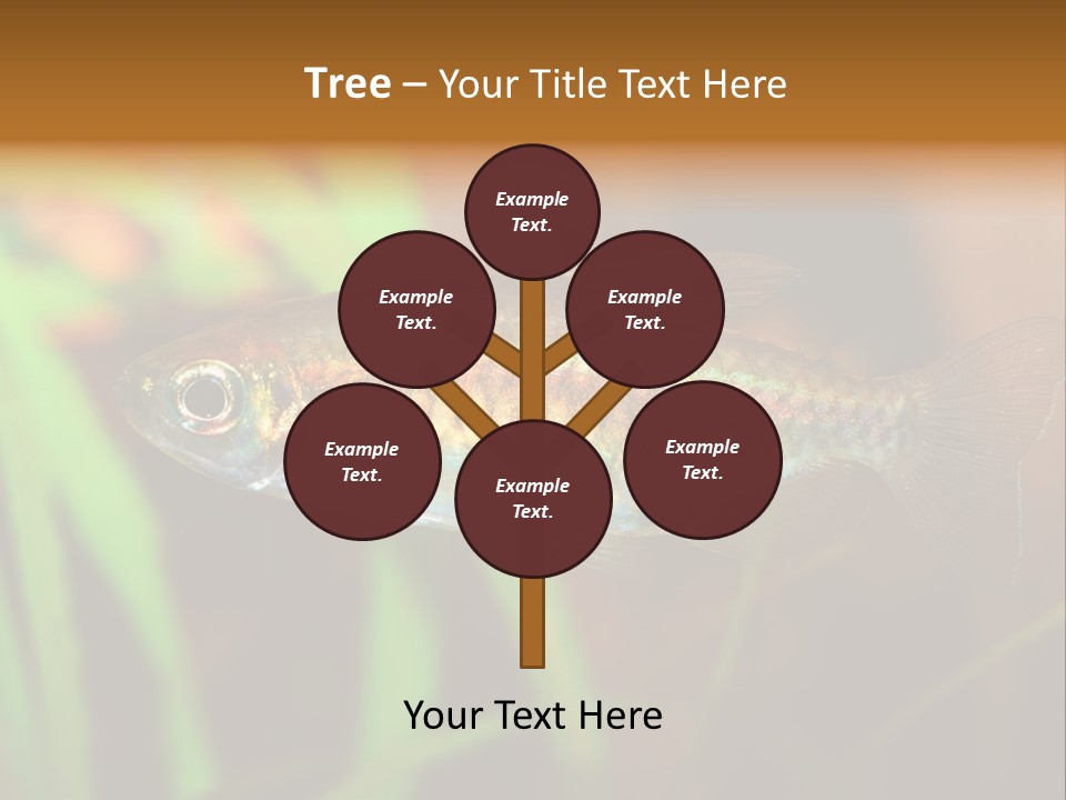 Doctor Bubbles Carp PowerPoint Template