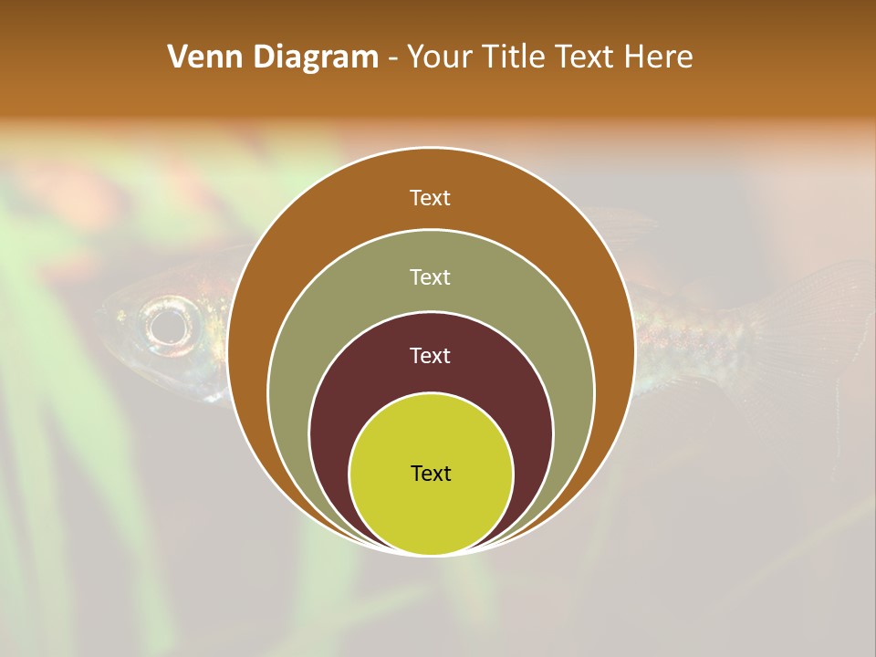 Doctor Bubbles Carp PowerPoint Template