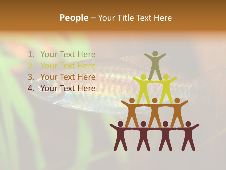 Doctor Bubbles Carp PowerPoint Template