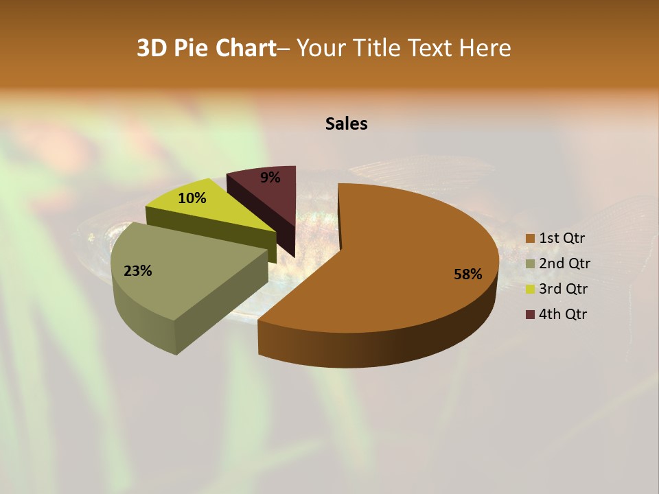Doctor Bubbles Carp PowerPoint Template