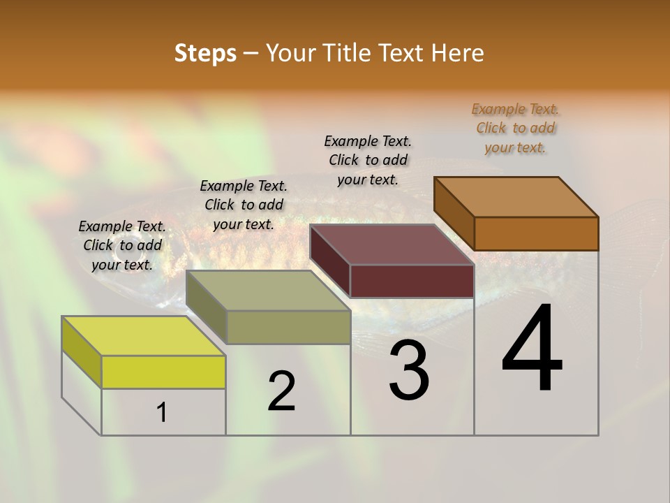 Doctor Bubbles Carp PowerPoint Template