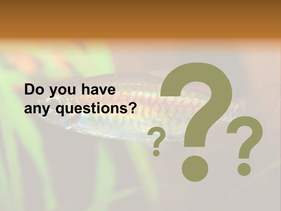 Doctor Bubbles Carp PowerPoint Template