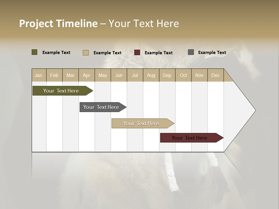 Unique White Red PowerPoint Template