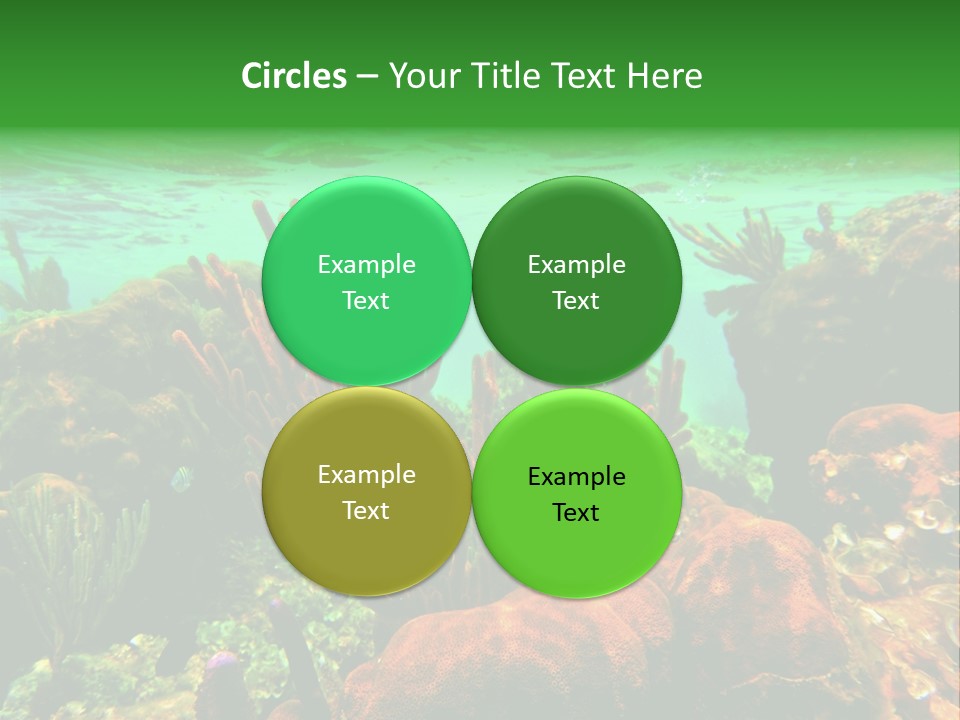 Barrier Reef Caribbean Sea Underwater Scene PowerPoint Template