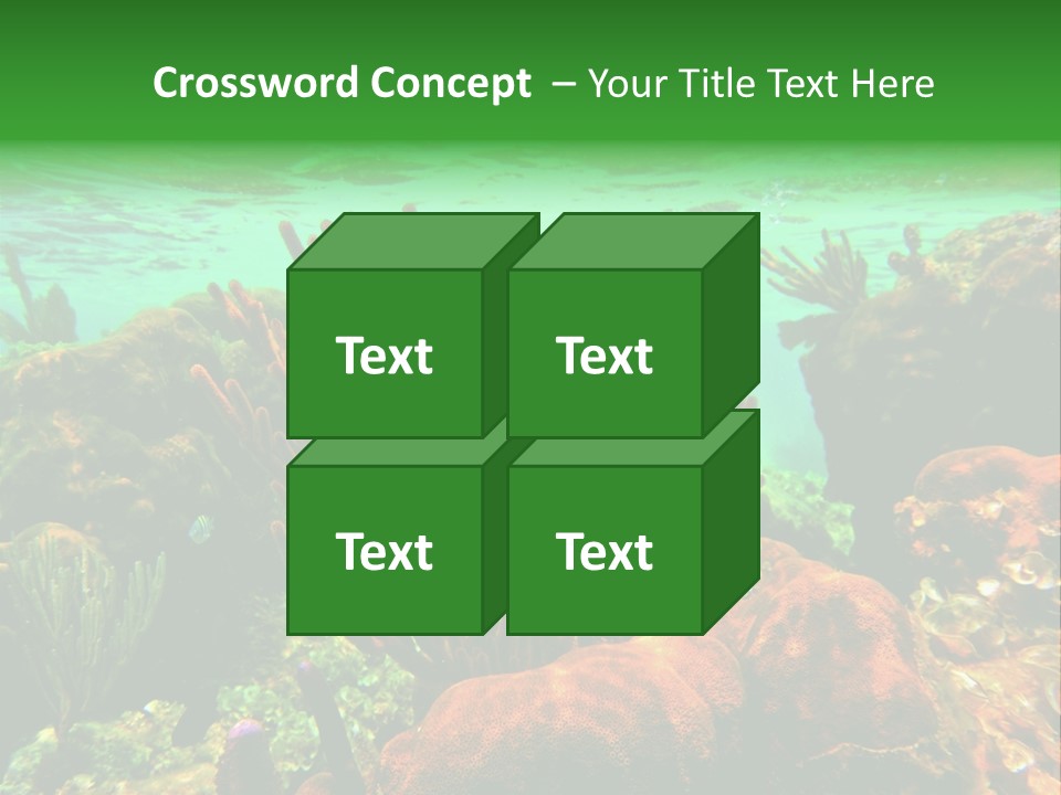 Barrier Reef Caribbean Sea Underwater Scene PowerPoint Template