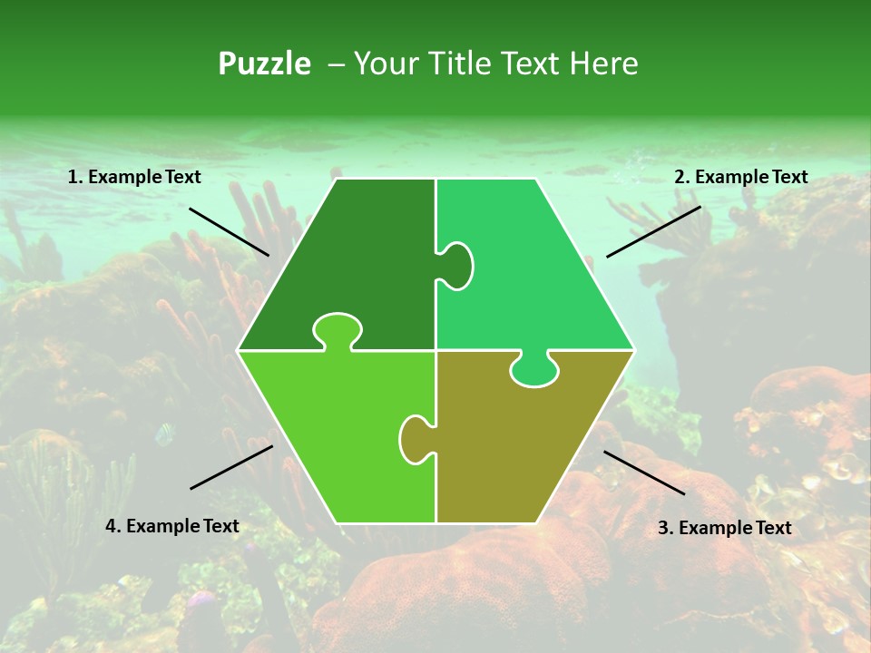 Barrier Reef Caribbean Sea Underwater Scene PowerPoint Template