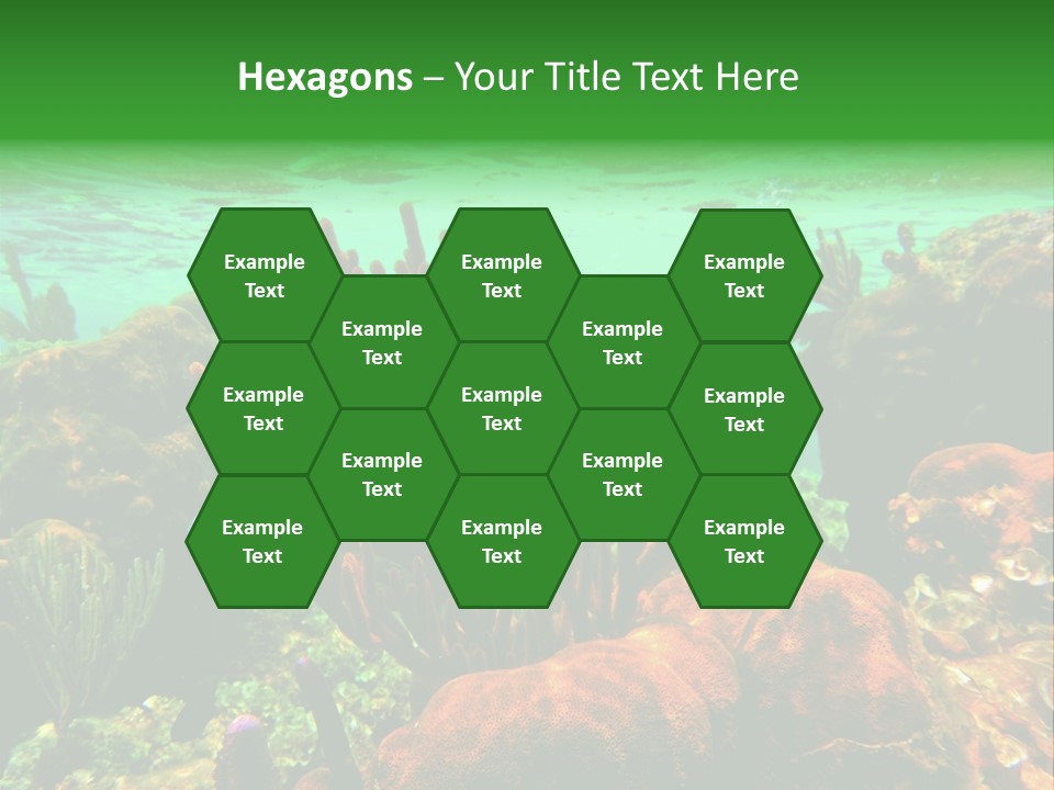 Barrier Reef Caribbean Sea Underwater Scene PowerPoint Template