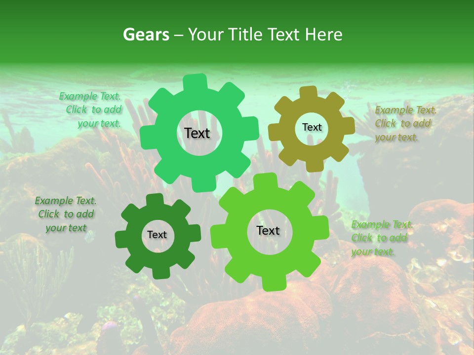 Barrier Reef Caribbean Sea Underwater Scene PowerPoint Template