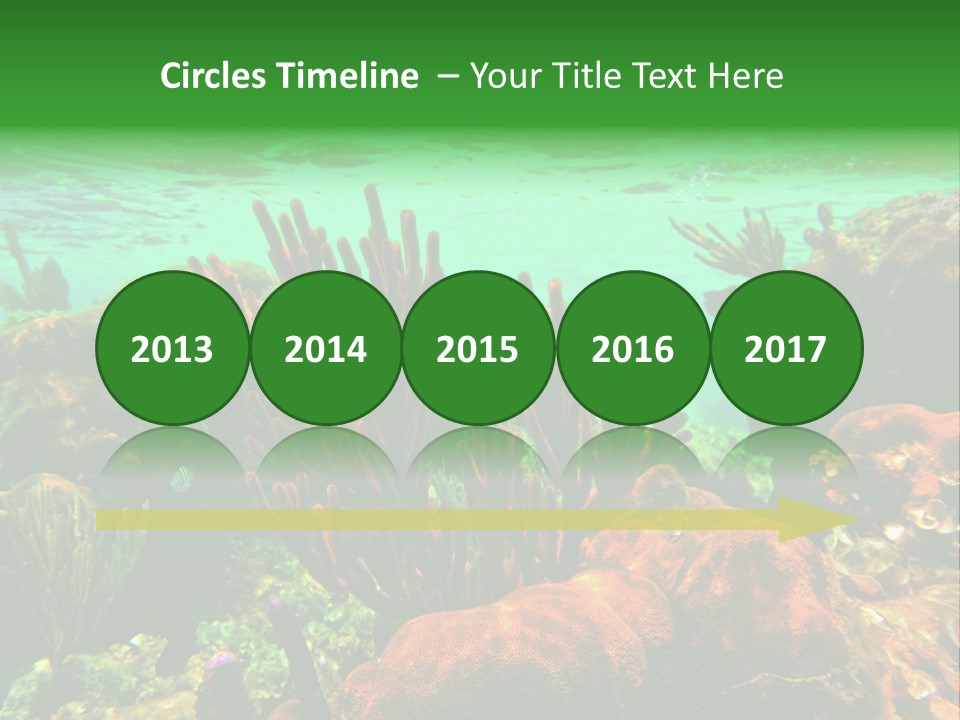 Barrier Reef Caribbean Sea Underwater Scene PowerPoint Template