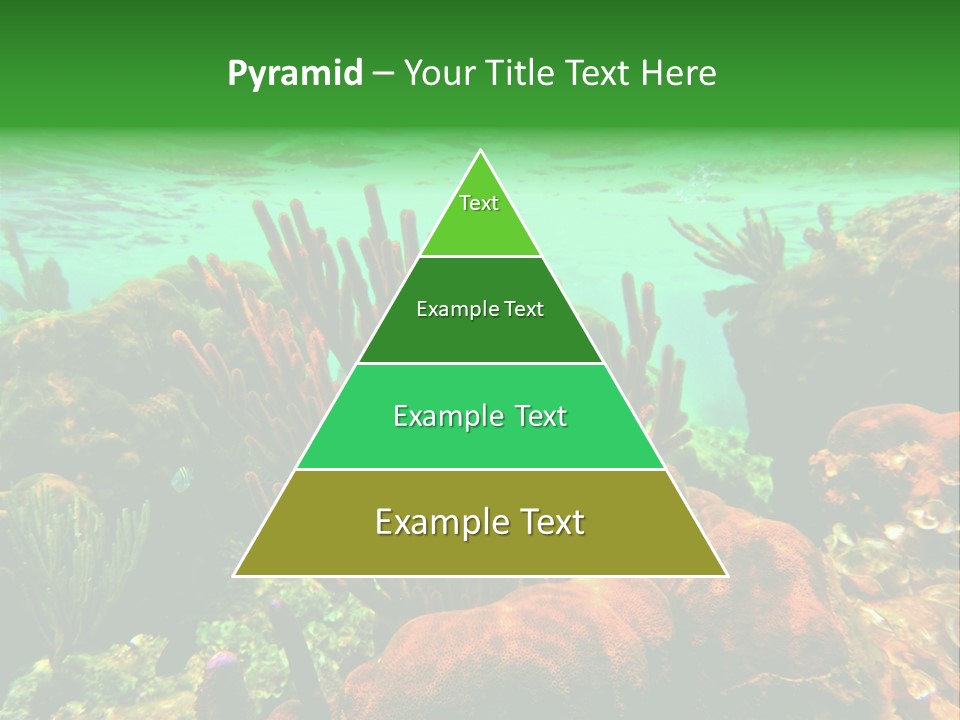 Barrier Reef Caribbean Sea Underwater Scene PowerPoint Template