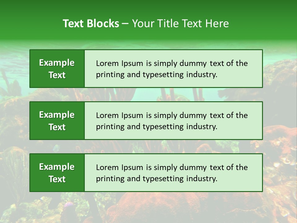 Barrier Reef Caribbean Sea Underwater Scene PowerPoint Template
